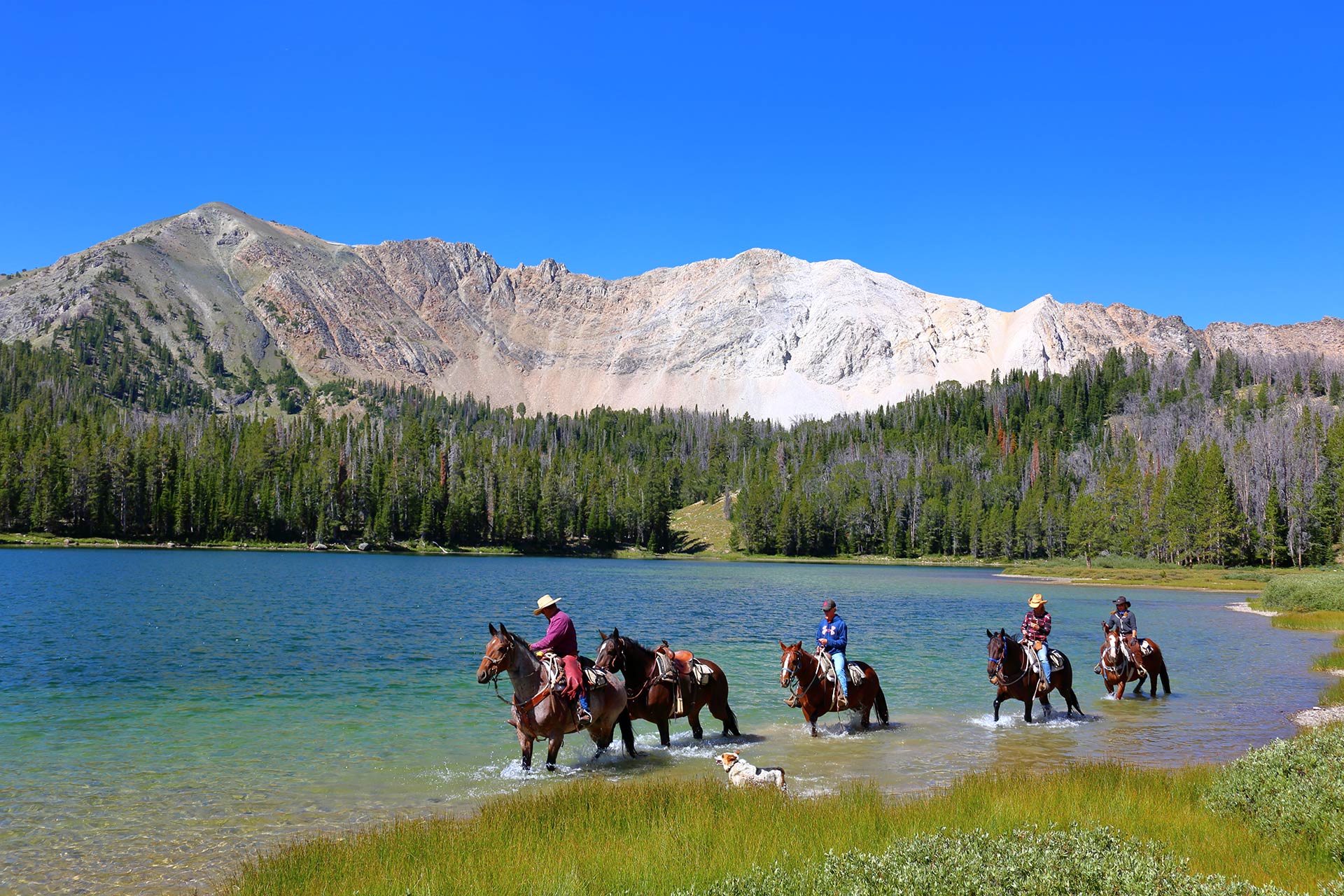 A family horseback ride through the mountain lakes and at the base of the rockies in the sawtooth mountains